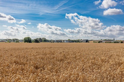 Faversham Photography - Farm Land